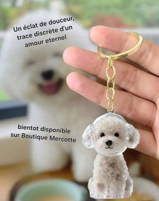 Porte clef porte poil