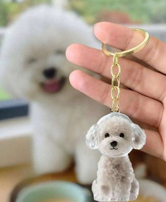 Porte clef porte poil BICHON