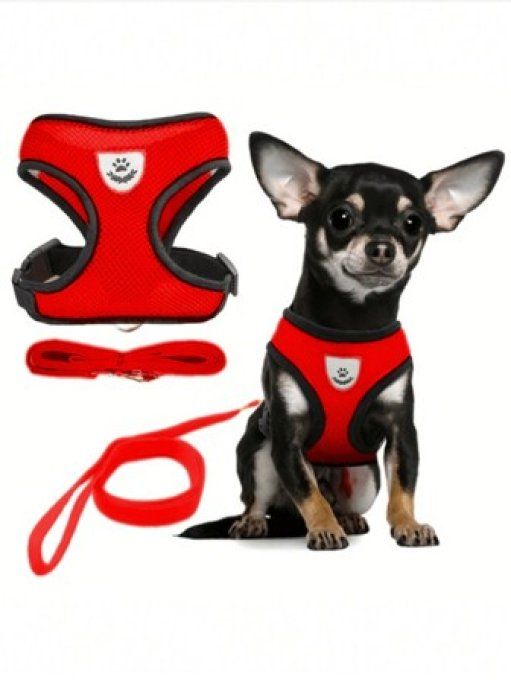 Harnais chiot avec laisse taille M