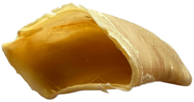 Sabot de veau