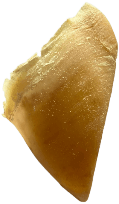 Sabot de veau