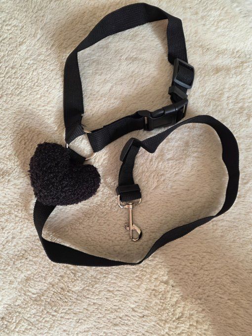 Harnais sécurité Auto