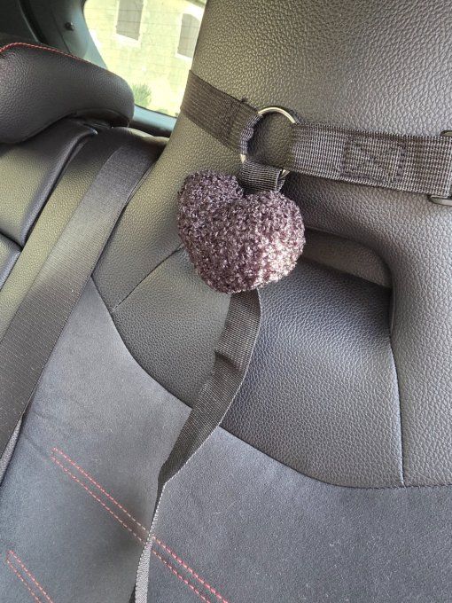 Harnais sécurité Auto