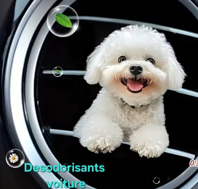 Désodorisant voiture