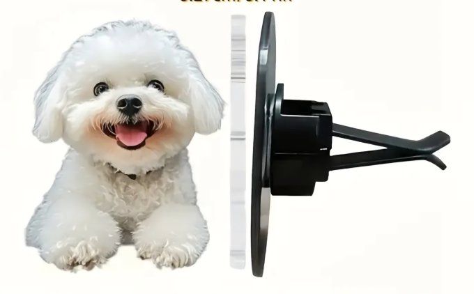 Désodorisant voiture