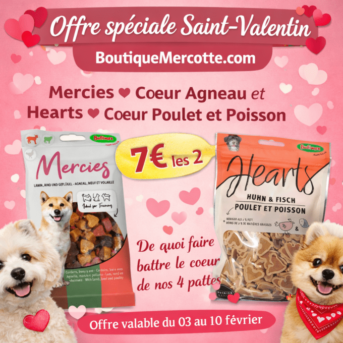  OFFRE SAINT VALENTIN