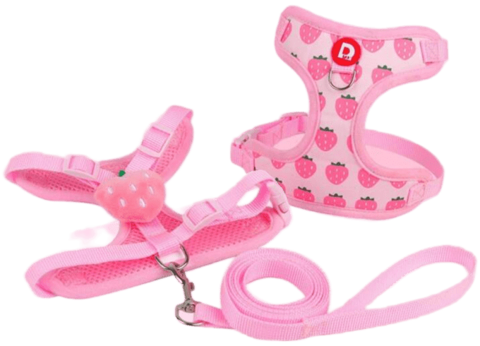 Harnais Printemps Eté avec laisse