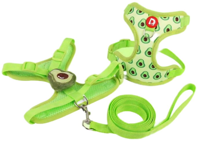Harnais Printemps Eté avec laisse