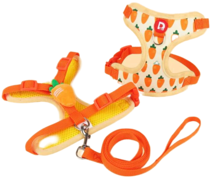 Harnais Printemps Eté avec laisse