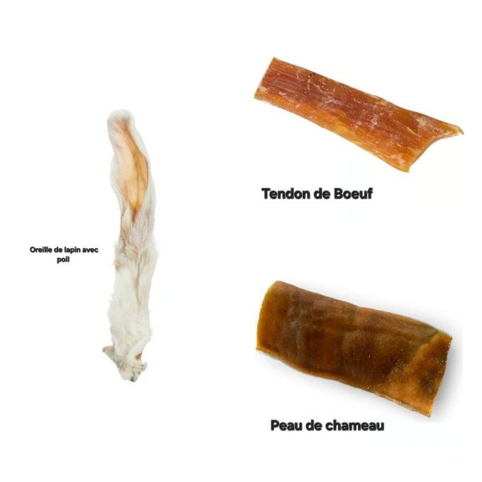 Compose ton Pack Mastication 