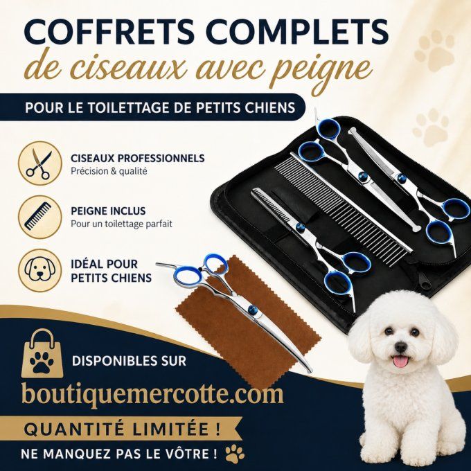 Coffret de ciseaux avec Peigne