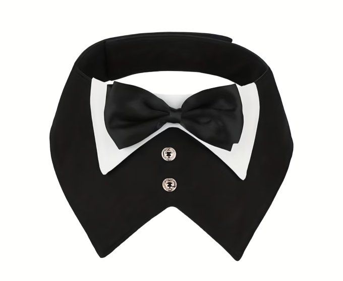 Col Elegance  2 tailles - 2 coloris