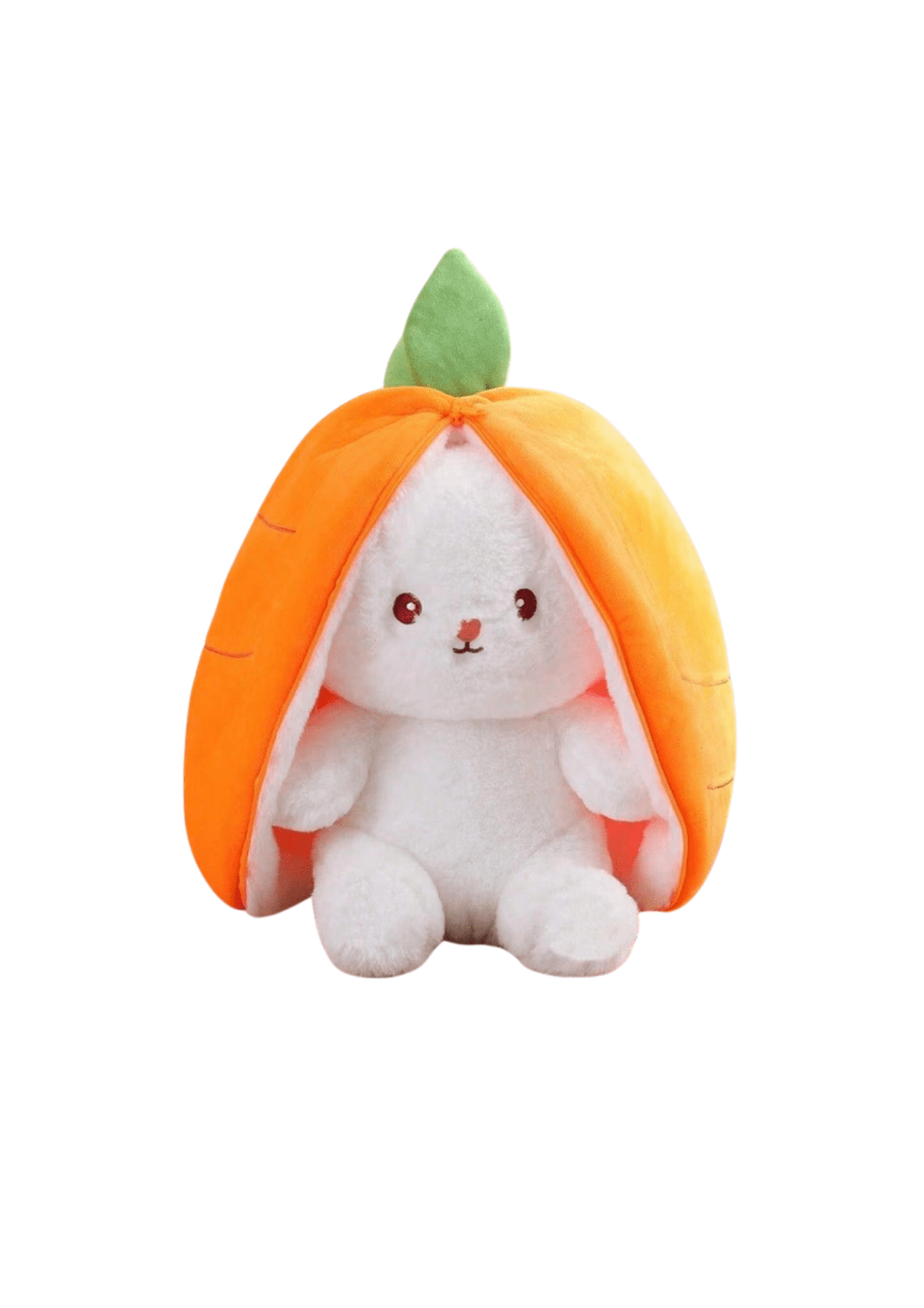 Lapin carotte 