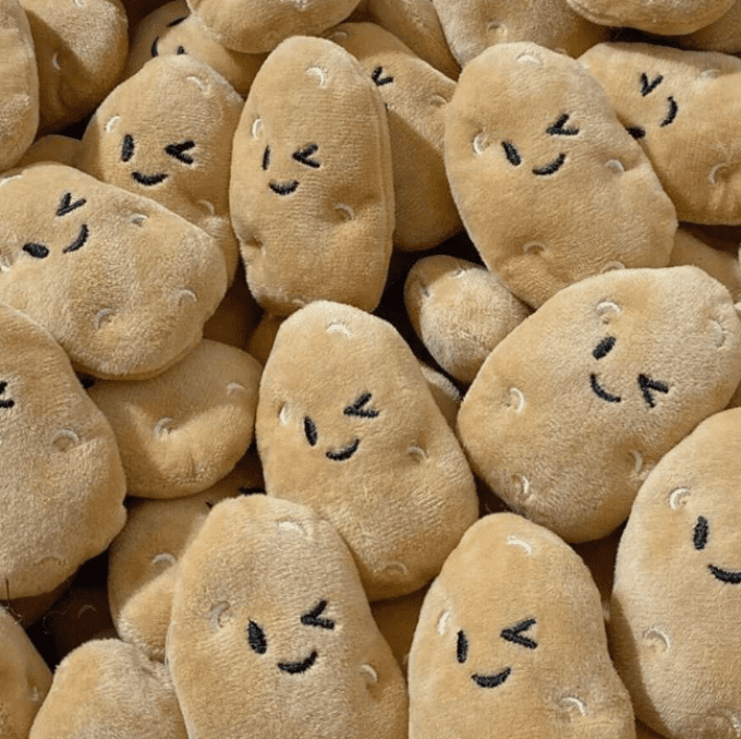 Pomme de terre