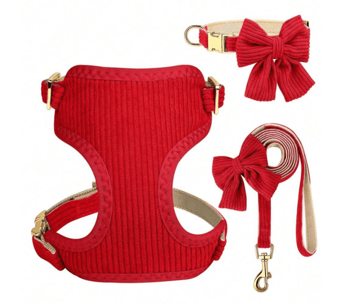 Ensemble rouge de luxe