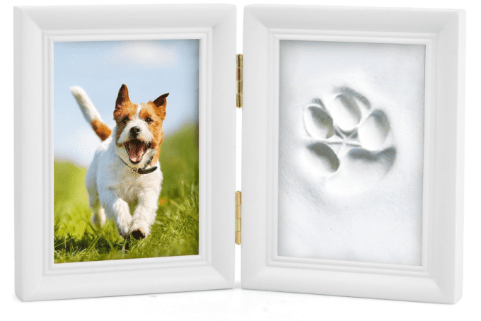 Kit emprunte chien/chat
