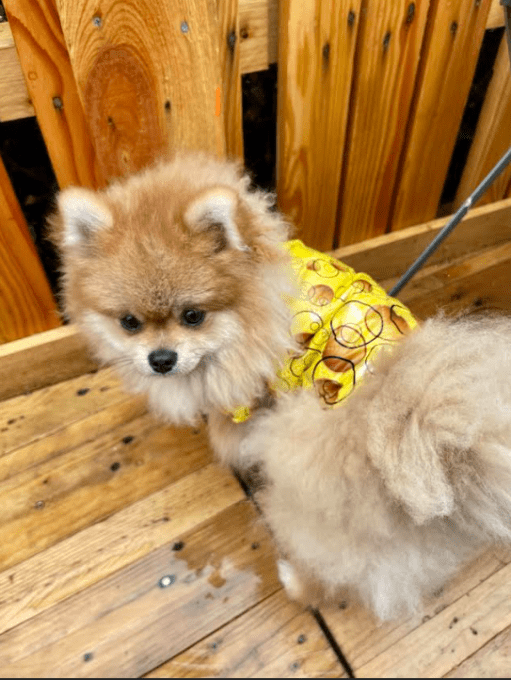 Imperméable 