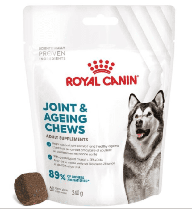 Complement alimentaire Articulation et chien mature