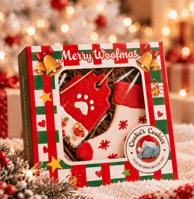 Coffret ornements de noël 