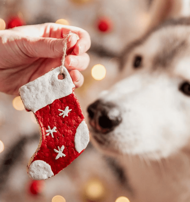 Coffret ornements de noël 