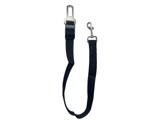 Attache Ceinture pour Chien - Sécurisez les Voyages de Votre Compagnon
