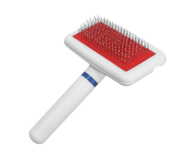 Brosse d'entretient