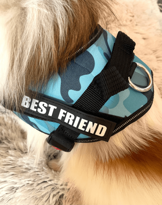 Harnais "best friend" 