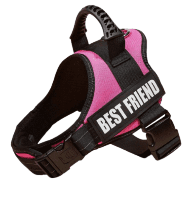 Harnais "best friend" 