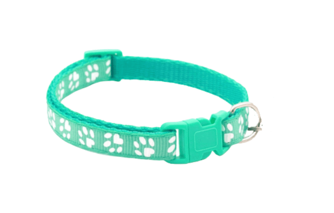 Collier pour chiot 