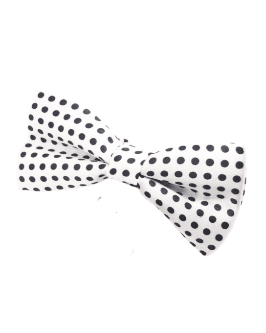 nœud papillon  