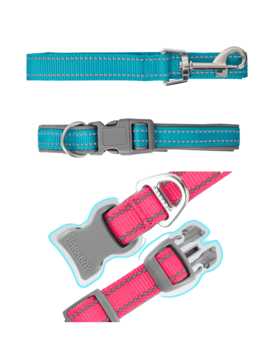 Laisse avec collier adulte 