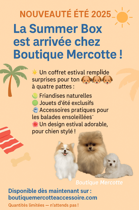 SUMMER BOX