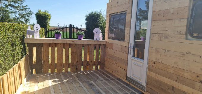 Jardinière bichon