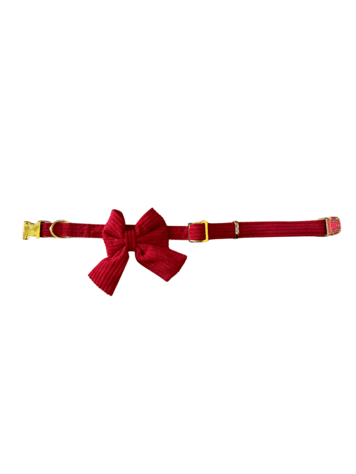 Collier noud 