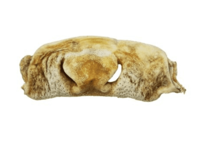 Nez de Boeuf Blanc