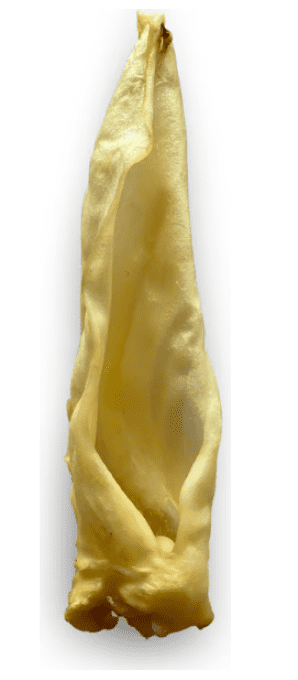 Oreille Agneau, à l'unité - Mastication Naturelle