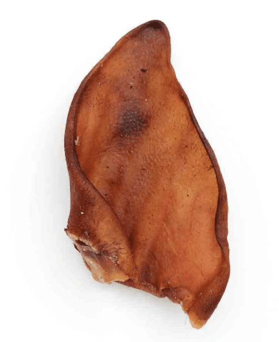 Oreille de Porc