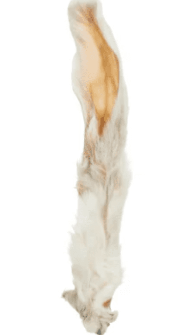 Oreille de Lpain avec poil, à l'unité - Mastication Naturelle