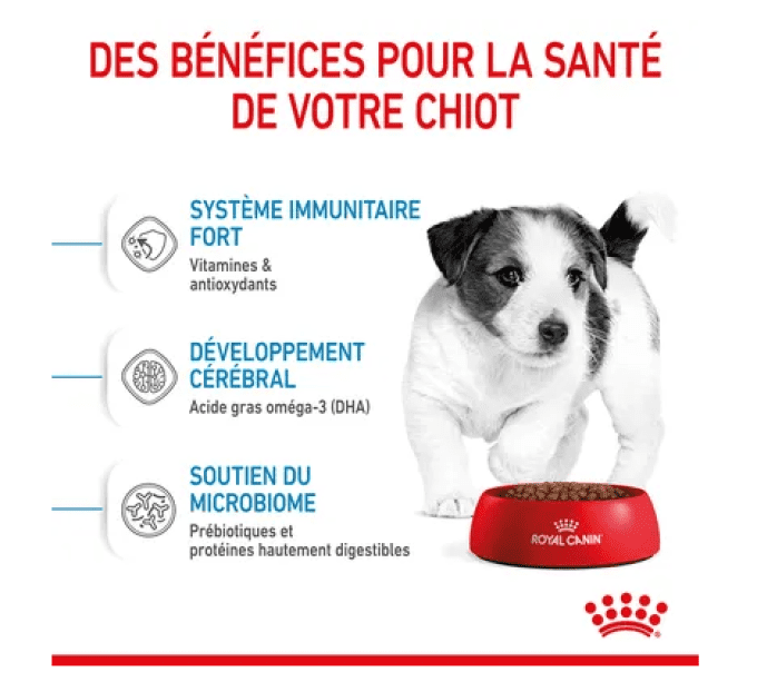 Croquette Mini Puppy Royal canin 800 gr