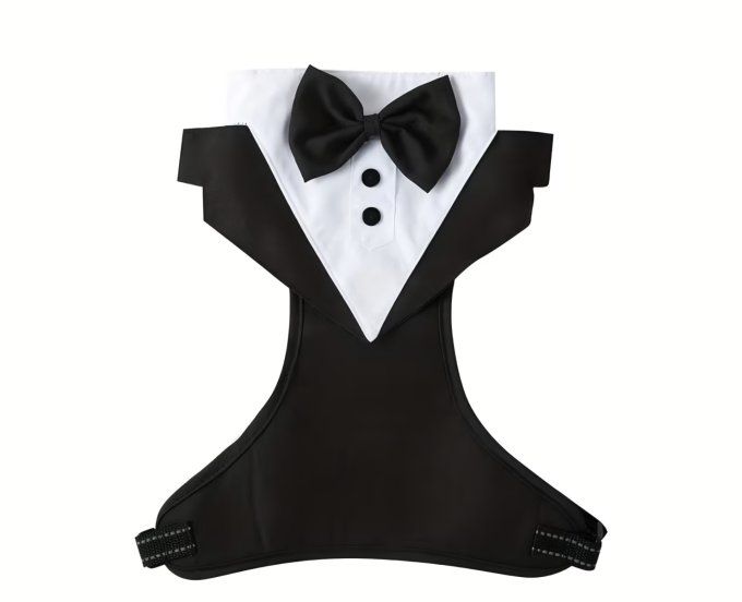 Harnais Costume - 3 Tailles
