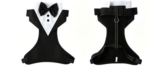 Harnais Costume - 3 Tailles